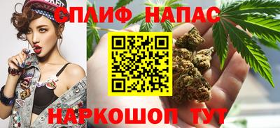 шишки Краснодар